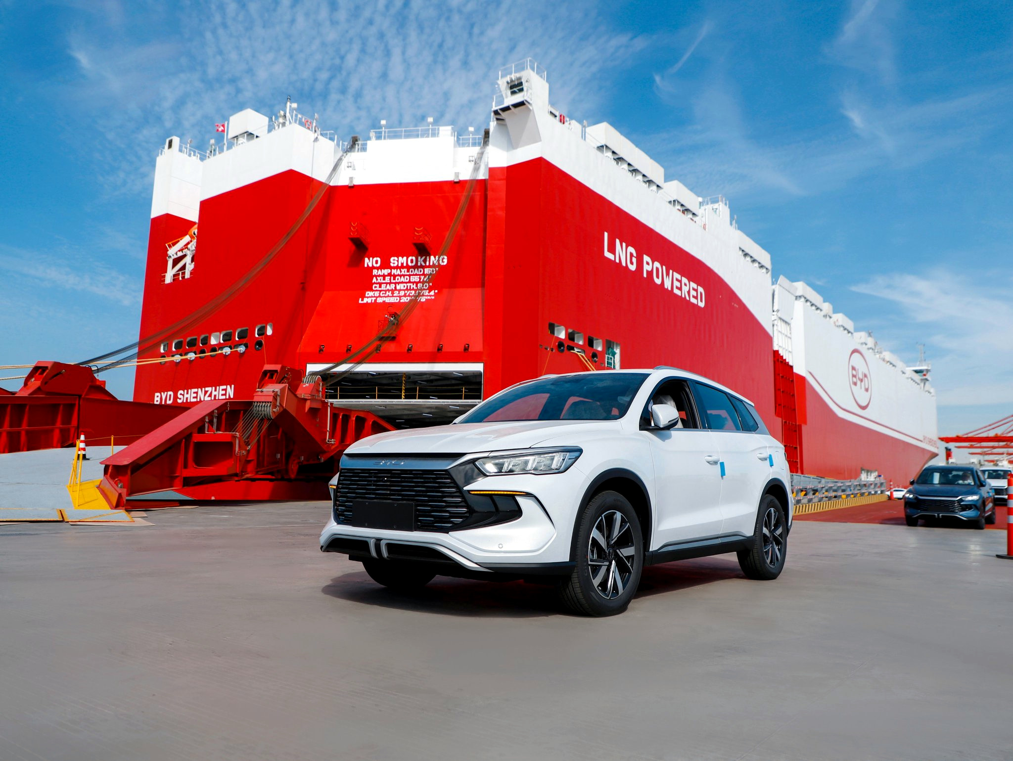 Gigante da BYD Gigante da BYD