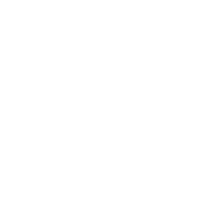 Voltz