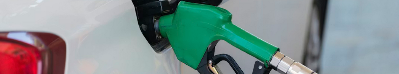 gasolina