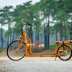 Lopifit: a bicicleta que caminha — e transforma a mobilidade urbana